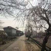 埼玉狭山市広瀬神社の写真・動画_image_186998