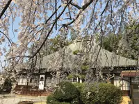 埼玉狭山市広瀬神社の写真・動画_image_187001