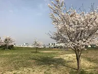 埼玉県狭山市新富士見橋の写真・動画_image_187011
