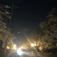 県営狭山稲荷山公園の写真・動画_image_187015