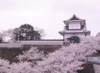 金沢城公園の写真・動画_image_187106