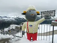 ゴルナーグラート（Gornergrat）の写真・動画_image_187118