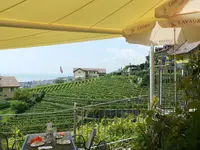 Lavauxの写真・動画_image_187139