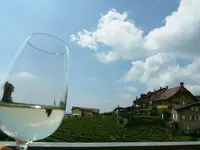 Lavauxの写真・動画_image_187140