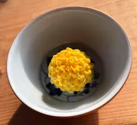 ミツマタの里の写真・動画_image_187278