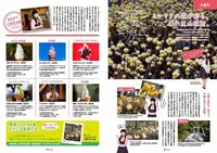 ミツマタの里の写真・動画_image_187282