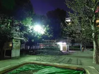 神谷公園の写真・動画_image_187312