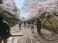 蹴上インクラインの写真・動画_image_187338