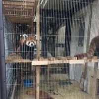 大島公園動物園の写真・動画_image_187379