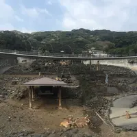 大島公園動物園の写真・動画_image_187381