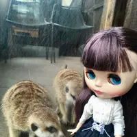 観音温泉の写真・動画_image_187414