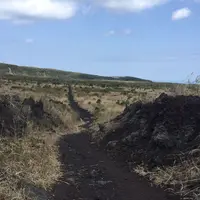 三原山の写真・動画_image_187420