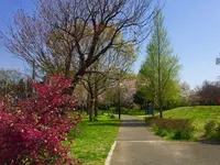 石神井公園の写真・動画_image_187447