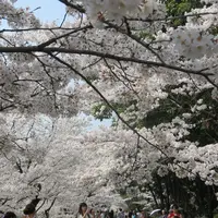 蹴上インクラインの写真・動画_image_187457