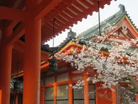 平安神宮の写真・動画_image_187458