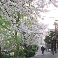 鴨東運河の写真・動画_image_187468