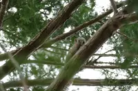 松月院の写真・動画_image_187520