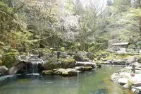 宙　SORA　渡月荘金龍の写真・動画_image_187538