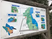 柿田川公園の写真・動画_image_187547