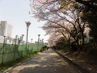 靱公園の写真・動画_image_187554