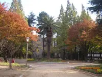 靱公園の写真・動画_image_187558