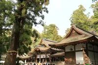 大神神社の写真・動画_image_187692