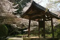長岳寺の写真・動画_image_187694