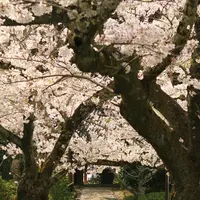 長岳寺の写真・動画_image_187698