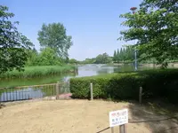 城北公園の写真・動画_image_187717