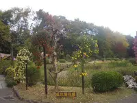 城北公園の写真・動画_image_187739