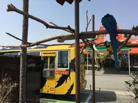 サファリランドの写真・動画_image_187749