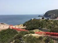 元乃隅神社の写真・動画_image_187751