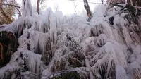 三十槌の氷柱の写真・動画_image_187872