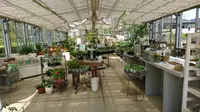 生活の木薬香草園の写真・動画_image_187878