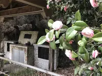 鎌北湖の写真・動画_image_188112
