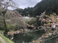 鎌北湖の写真・動画_image_188115