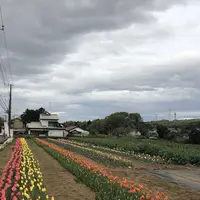 毛呂山町葛木の写真・動画_image_188124