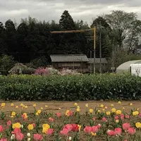 毛呂山町葛木の写真・動画_image_188125