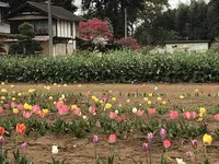 毛呂山町葛木の写真・動画_image_188126