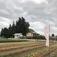 毛呂山町葛木の写真・動画_image_188127