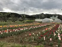 毛呂山町葛木の写真・動画_image_188128