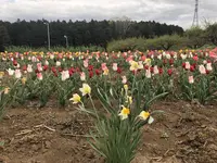 毛呂山町葛木の写真・動画_image_188129