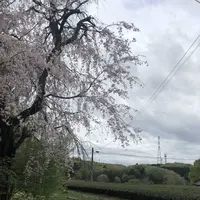 武者小路実篤記念新しき村美術館の写真・動画_image_188135