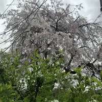 武者小路実篤記念新しき村美術館の写真・動画_image_188136