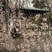 武者小路実篤記念新しき村美術館の写真・動画_image_188138