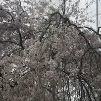 武者小路実篤記念新しき村美術館の写真・動画_image_188139