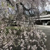 武者小路実篤記念新しき村美術館の写真・動画_image_188140