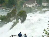 Rhine Fallsの写真・動画_image_188246