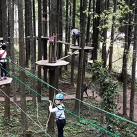 ターザニアの写真・動画_image_188321