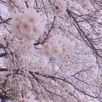 稲荷大明神の写真・動画_image_188362